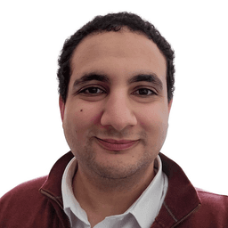 Profile image of Fares Sofiane Mazouni